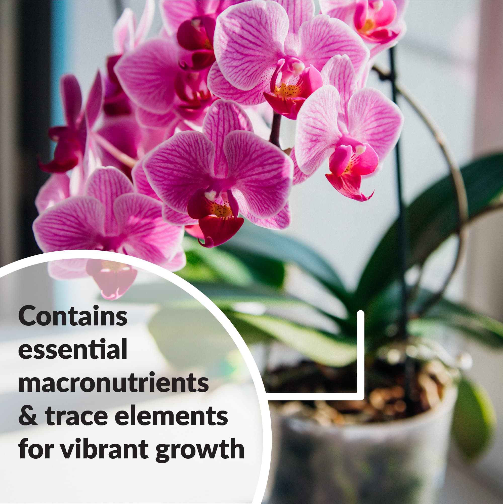 SUPERthrive Orchid-Pro 7-8-6 Plant Food